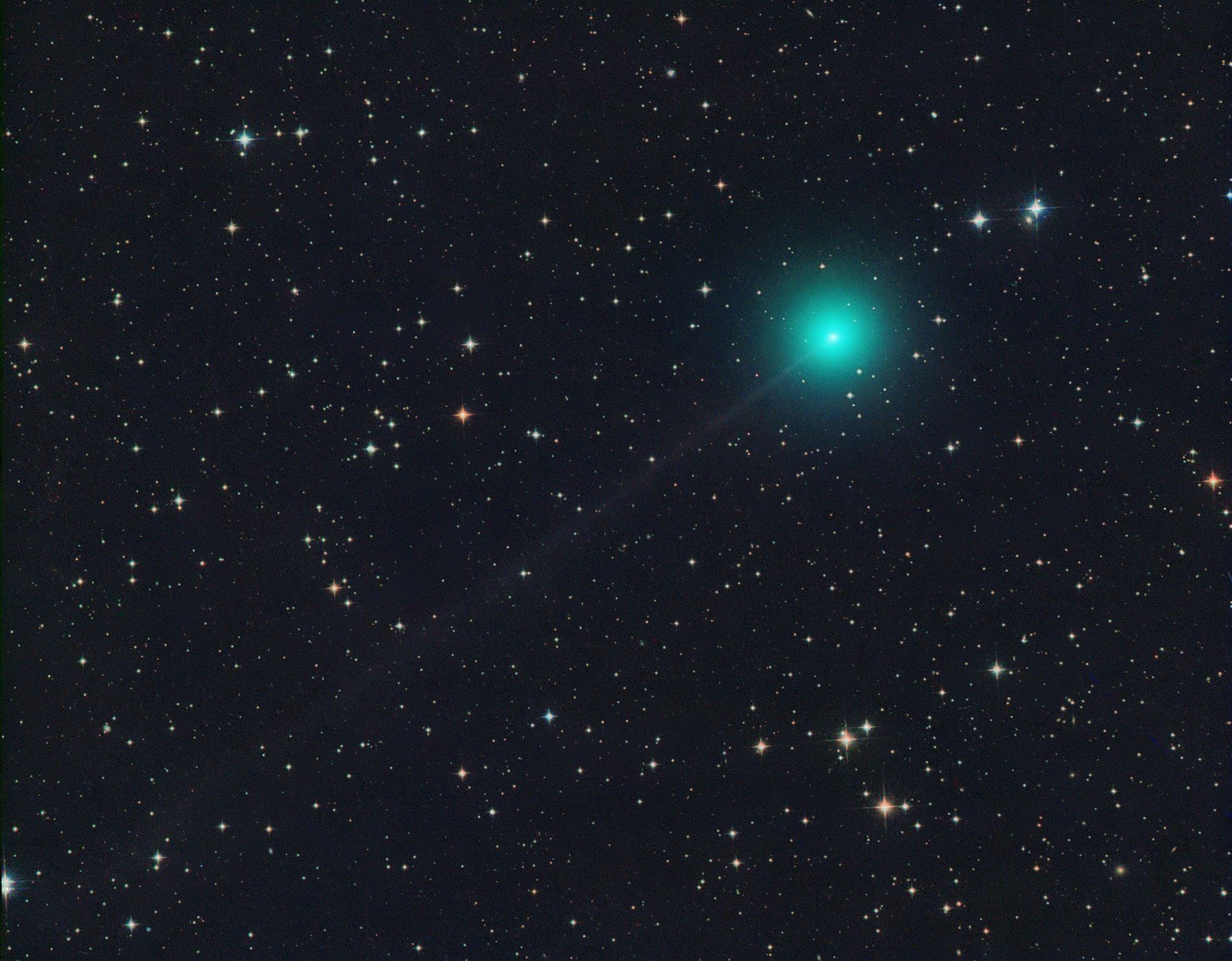 Комета С/2023 Е1 "ATLAS". Фото: Майкл Джагер